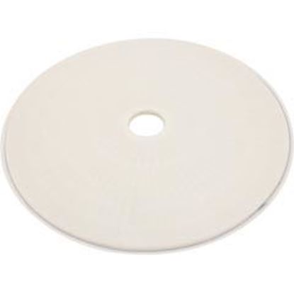Picture of DE Grid Filbur Circular 19" Diameter 2-1/2" Center Hole FC-9910