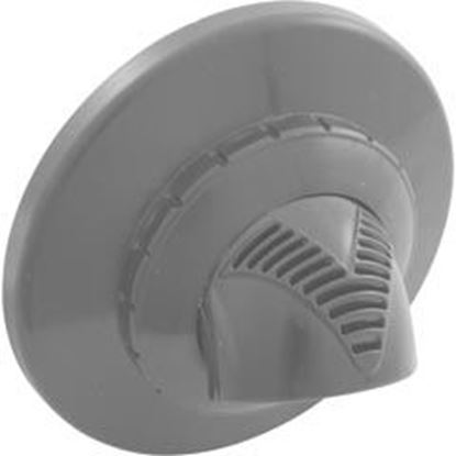 Picture of Inlet Fitting Infusion Vent. 1" Insidr Gluelssw/FlgLtGry VRFSAF1LG