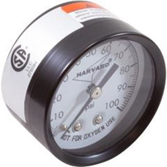 Picture of Pressure Gauge Speck ACF Cartridge Filter 7200039349