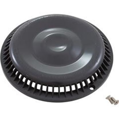 Picture of Main Drain Grate Afras Anti Vortex Dk Gray w/2 Screws 10064DKGY