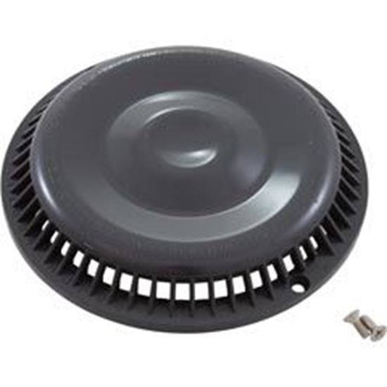 Picture of Main Drain Grate Afras Anti Vortex Dk Gray w/2 Screws 10064DKGY