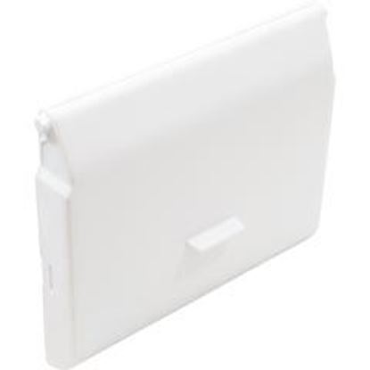 Picture of Skimmer Float Carvin SV 43124623R