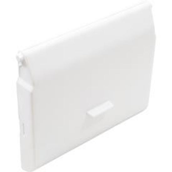 Picture of Skimmer Float Carvin SV 43124623R