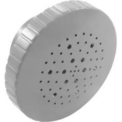Picture of Rain Spa Jet Internal 1-1/2" Gray 23315-301-000