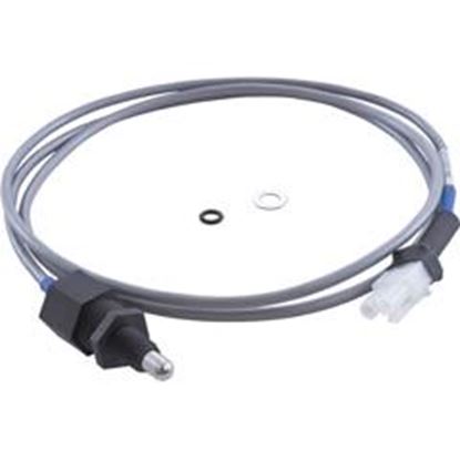 Picture of Sensor Temperature IQ2000 52" Blue RME-36602-IQ2K