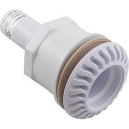Picture of Light Niche Pentair Globrite Fiberglass 620041