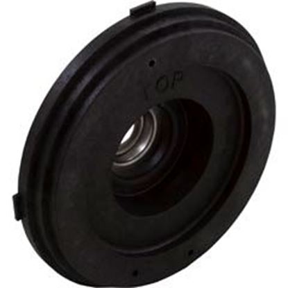 Picture of Seal Plate Carvin Cygnet After 11/02 11006202R