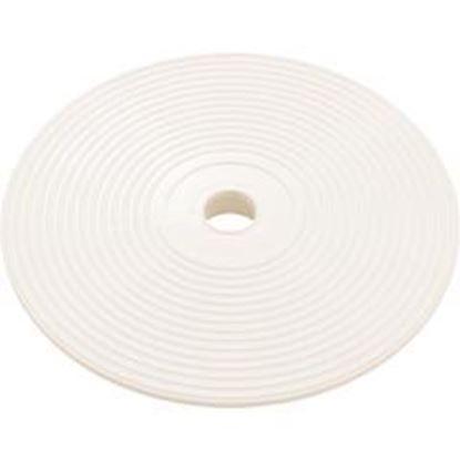 Picture of Lid Astral In-Ground Skimmer Lock Down 4402010108