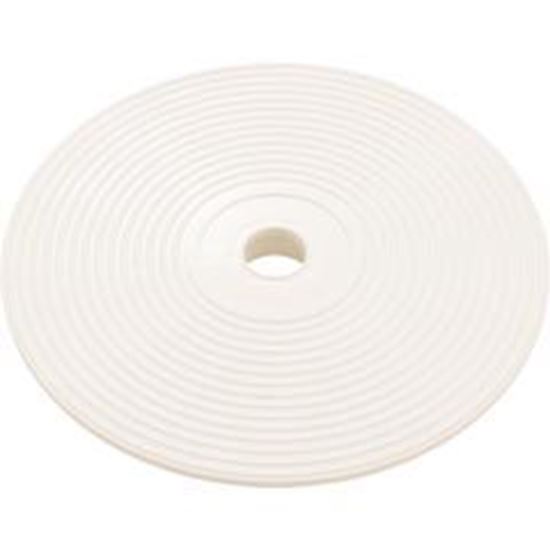 Picture of Lid Astral In-Ground Skimmer Lock Down 4402010108