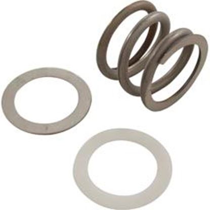 Picture of Spring Kit Astral Multiport Valve SM 1-1/2" w/Washers 4404120105