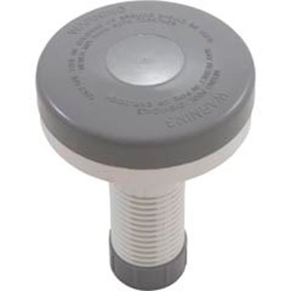 Picture of Floating Spa Chlorinator Gray/White 27051-009-000