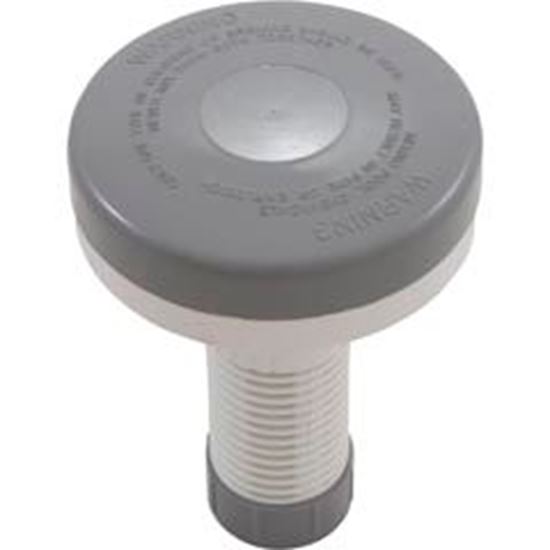 Picture of Floating Spa Chlorinator Gray/White 27051-009-000