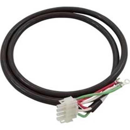 Picture of Cable Output Adapter Pump 2 Live Amp 4ft 95100519