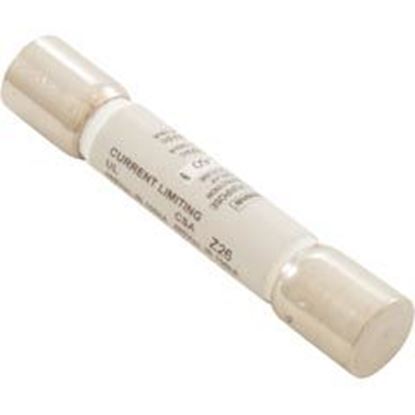 Picture of Time Delay Fuse Coates 60A 480v SC 29018910
