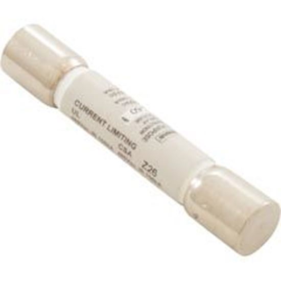 Picture of Time Delay Fuse Coates 60A 480v SC 29018910
