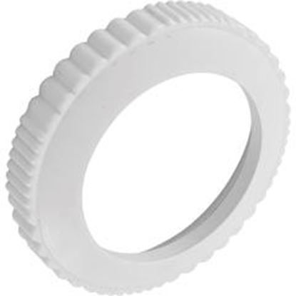 Picture of Screw Cover Pentair Return Line Check Valve 072503