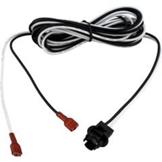Picture of Cord Gecko MSPA-1 MSPA-4  SSPA TSPA8ft w/ Light Socket 9920-400178