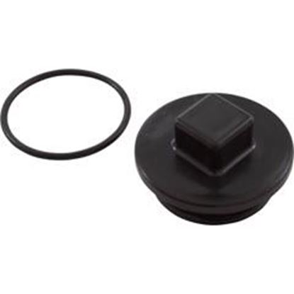 Picture of Plug Carvin MD Series 2" with O-Ring 43-3092-02-R