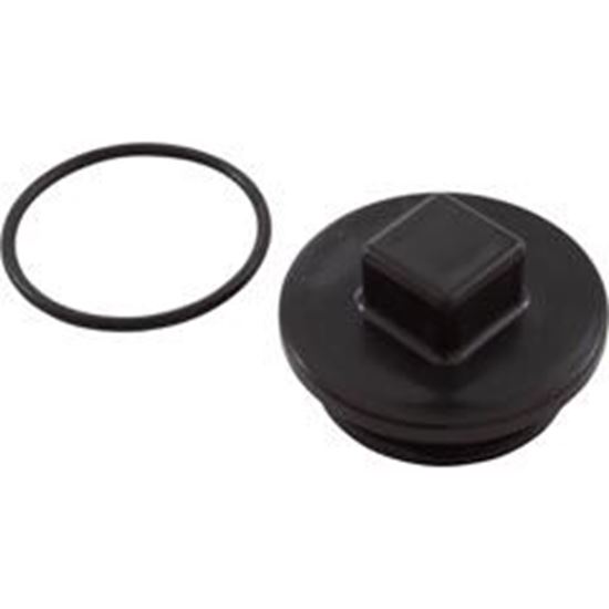 Picture of Plug Carvin MD Series 2" with O-Ring 43-3092-02-R
