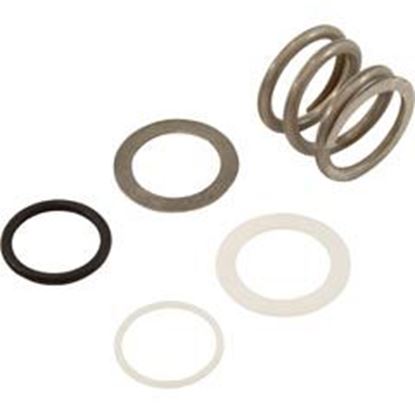 Picture of Washer Astral 2" Multiport Valves Spring 4404121103