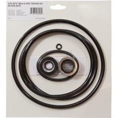 Picture of Pump O-Ring Kit Generic Sta-Rite Max-E-Pro w/Seal 90-538-2079
