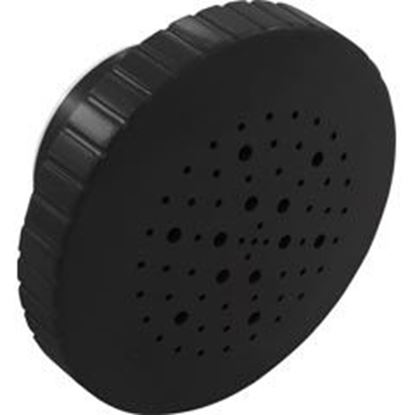 Picture of Rain Massage Spa Jet Internal 1-1/2" Black 23315-344-000