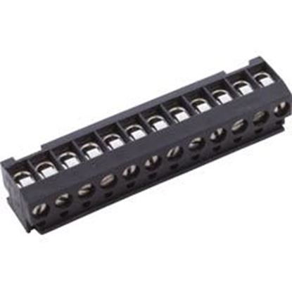 Picture of Terminal Block Pentair Compool 12 Position 8023312
