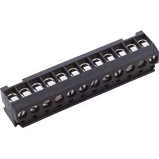Picture of Terminal Block Pentair Compool 12 Position 8023312