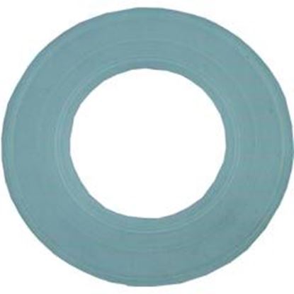 Picture of Light Gasket Pentair Aqualuminator 79116800