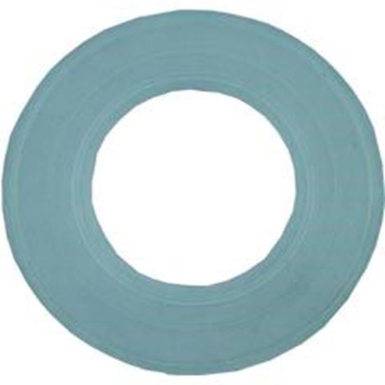 Picture of Light Gasket Pentair Aqualuminator 79116800