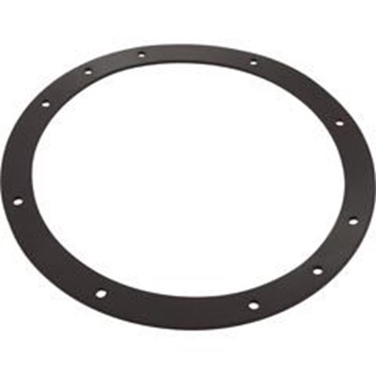 Picture of Gasket Sta Rite Vinyl Liner Light Niche Generic G-435