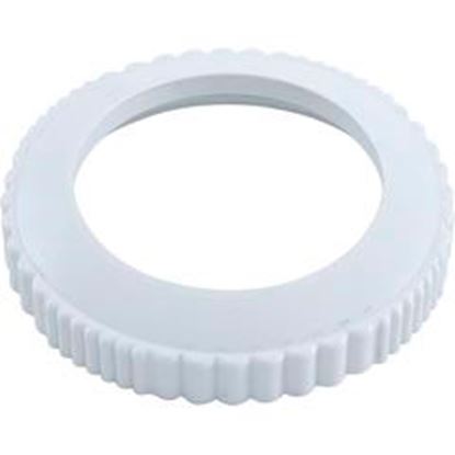 Picture of Eyeball Housing Pentair Return Line Check Valve 1-1/2" 072501