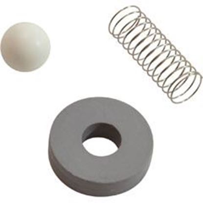 Picture of Rebuild Kit Mazzei Check Valve #484/684 CR-2
