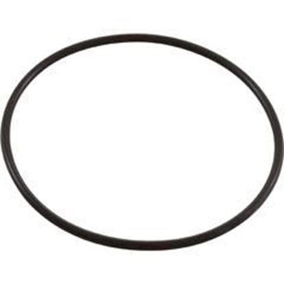 Picture of O-Ring Jandy Neverlube Valve 2-1/2" - 3" Lid R0465700