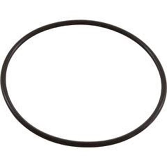Picture of O-Ring Jandy Neverlube Valve 2-1/2" - 3" Lid R0465700