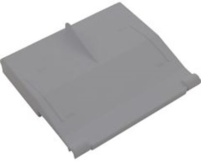 Picture of Front Access Skimmer Weir Door Gray 25248-921-000