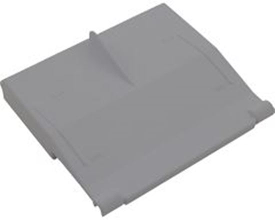 Picture of Front Access Skimmer Weir Door Gray 25248-921-000