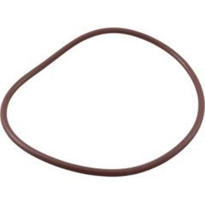 Picture of Lid O-RingVitonPentair HC-3315/3330/3340 Automatic Feeders R172240Z