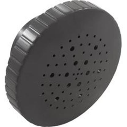 Picture of Rain Spa Jet Internal 1-1/2" Dark Gray 23315-307-000