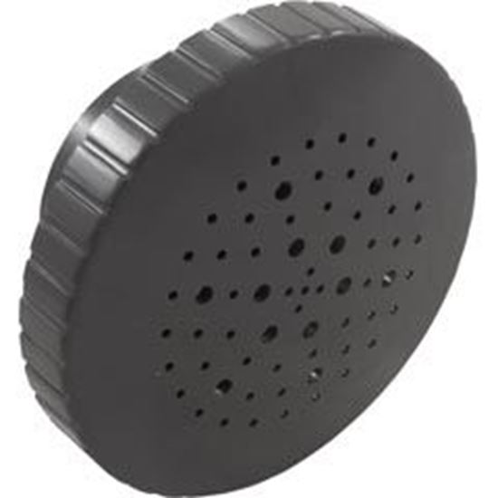 Picture of Rain Spa Jet Internal 1-1/2" Dark Gray 23315-307-000