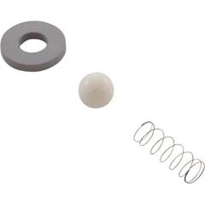 Picture of Rebuild Kit Mazzei Check Valve #978/C83P CR-3