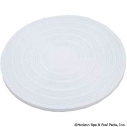 Picture of Skim Filter Lid Pentair Rainbow DSF/Safety Skim 7-1/2"od R172468
