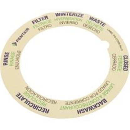 Picture of Label Pentair 6-Way Backwash Valve 272599