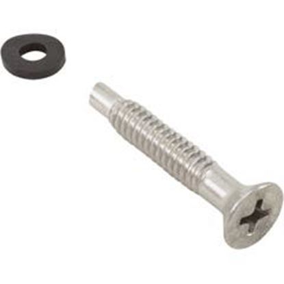 Picture of Light Pilot Screw American Products Amerlite SS 619355Z