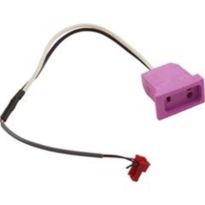Picture of Receptacle H-Q Switched Acc Molded 18/3 SS VH Lt.Violet WS-OVO4-02-K