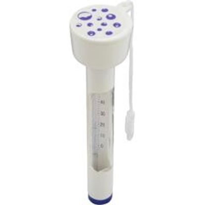 Picture of Thermometer Floating MP-1948D