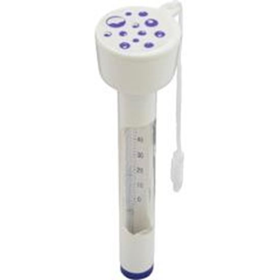 Picture of Thermometer Floating MP-1948D
