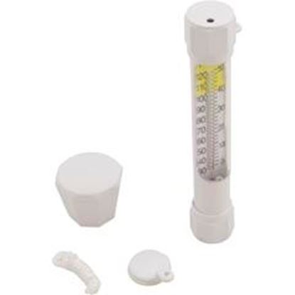 Picture of Thermometer Floating Submersible with cord B8155