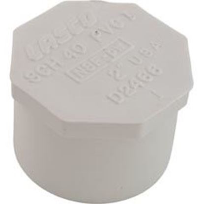 Picture of Plug Lasco 2" Spigot 449-020
