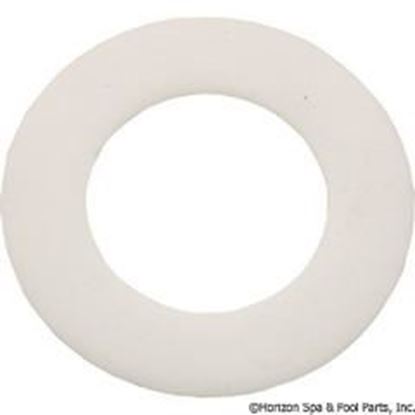 Picture of Washer Pentair American Products PacFab Multiport Valves 271157